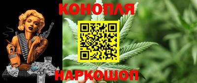 Альфа ПВП Краснознаменск