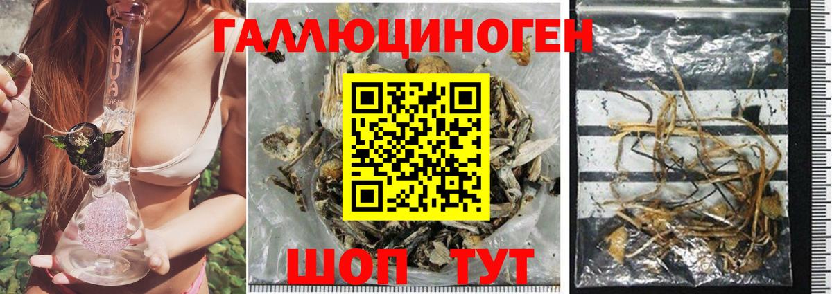 Конопля  NBOMe  Кокаин  Чебоксары  Вход с VPN  Мефедрон   Меф МЯУ МЯУ  Alpha PVP СОЛЬ  