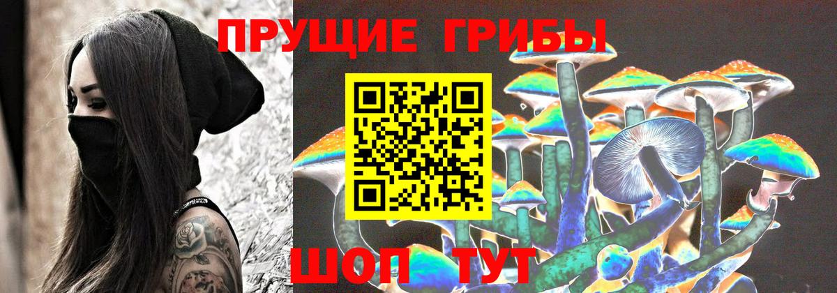 Чебоксары  Галлюциногенные грибы GOLDEN TEACHER  Псилоцибиновые грибы Magic Shrooms  Вход с VPN 