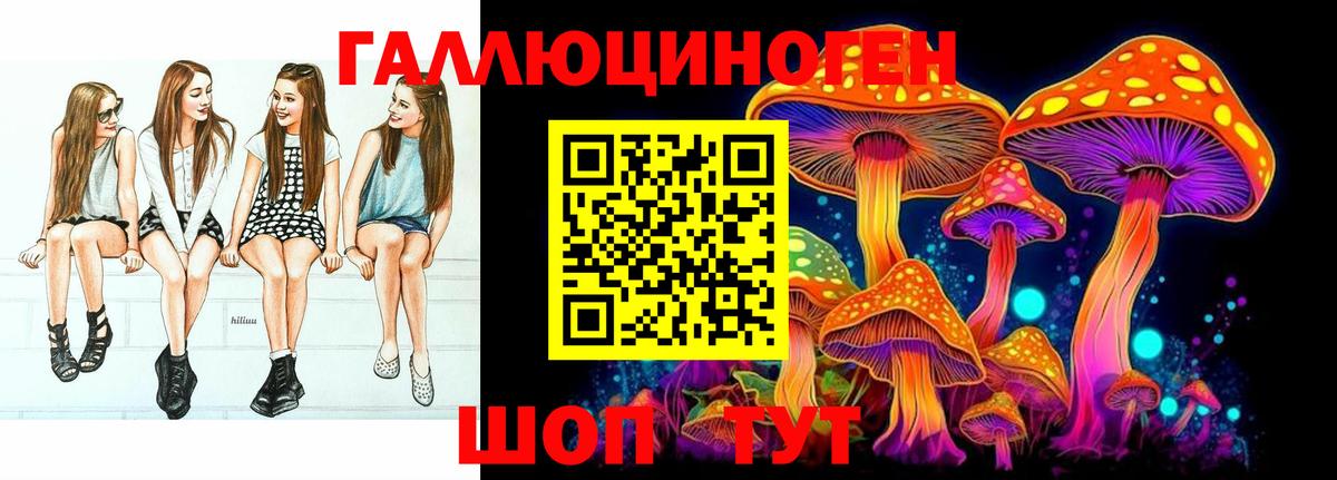 Галлюциногенные грибы Psilocybe Чебоксары